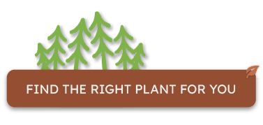 Find the right plants