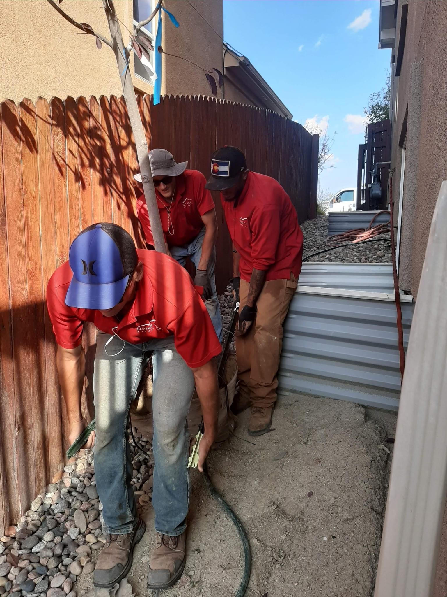 Planting crew carrying a tree through a narrow passage beside a home