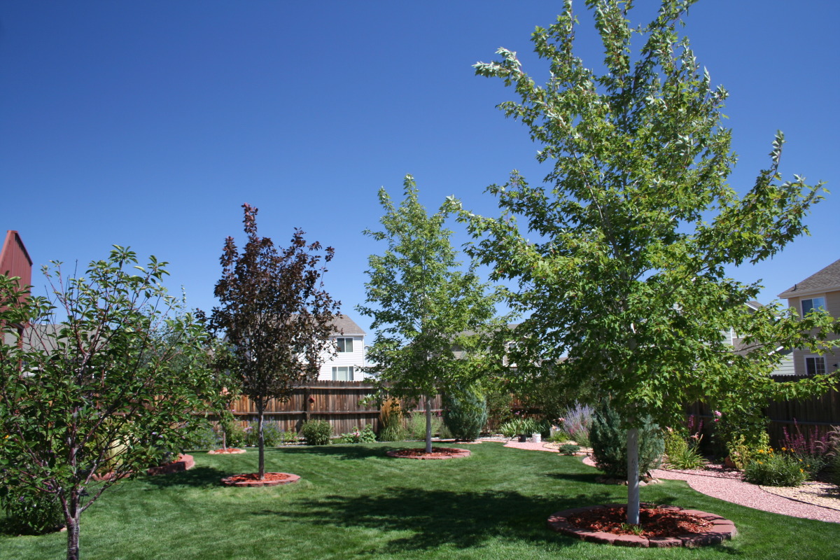 The Husted Home