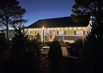 Christmas lights and trees at the nursery