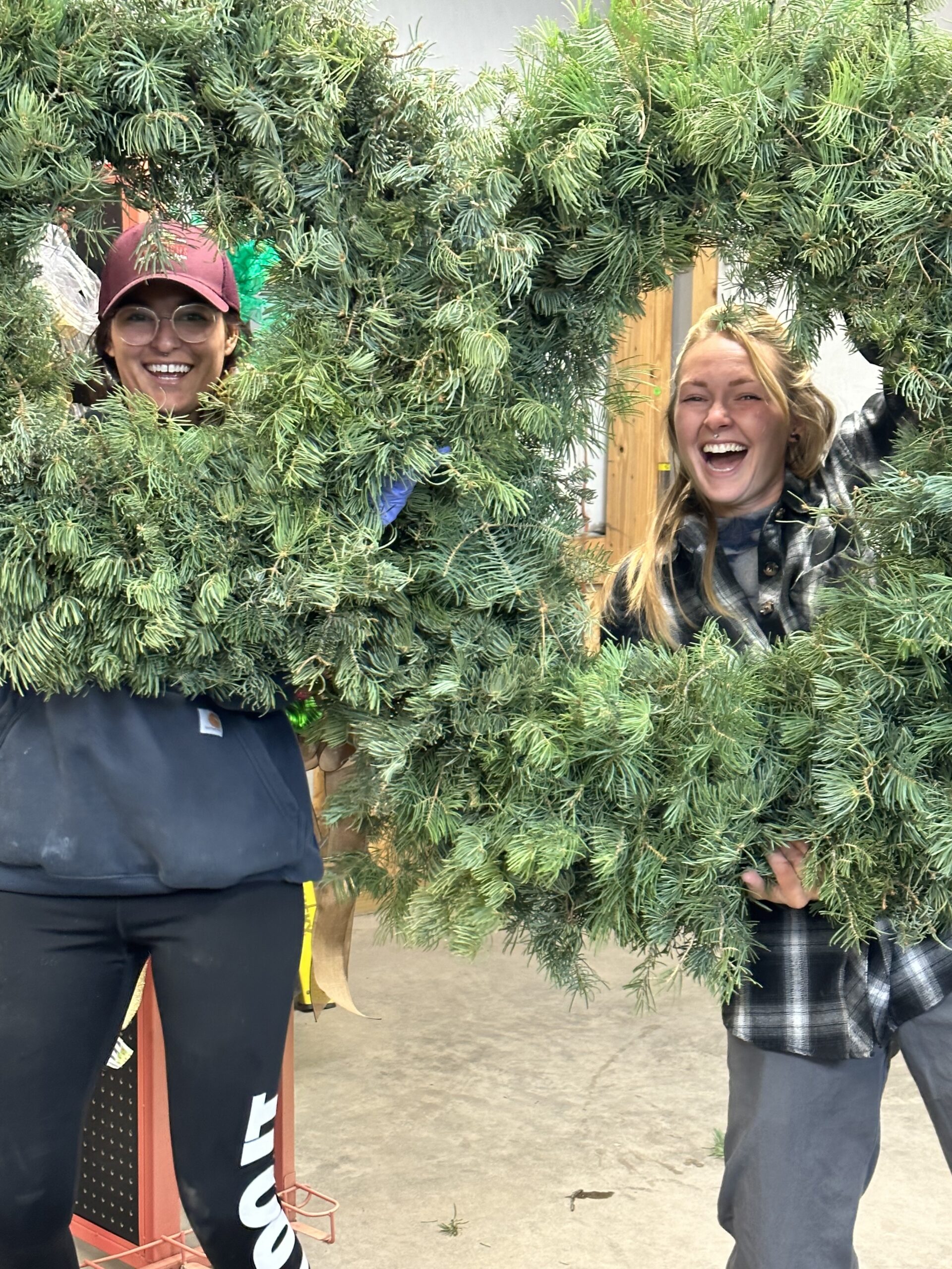 Nursery team members among evergreen trees